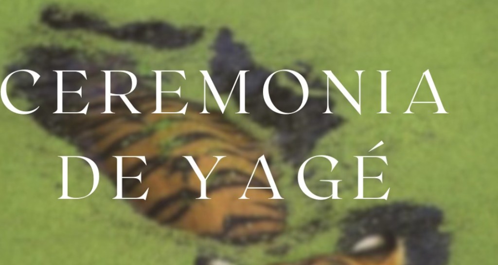 Ceremonia de yagé